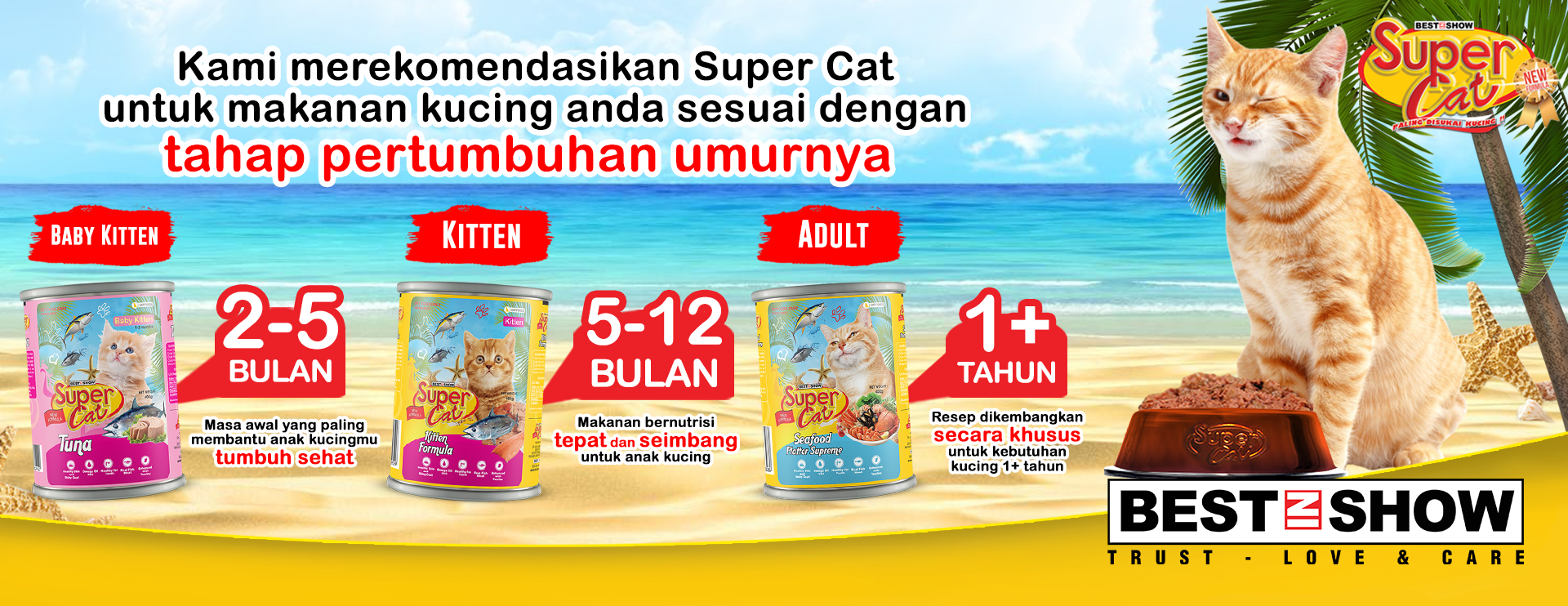 Banner - Cat - Best In Show - Best Pet Food For Your Pet