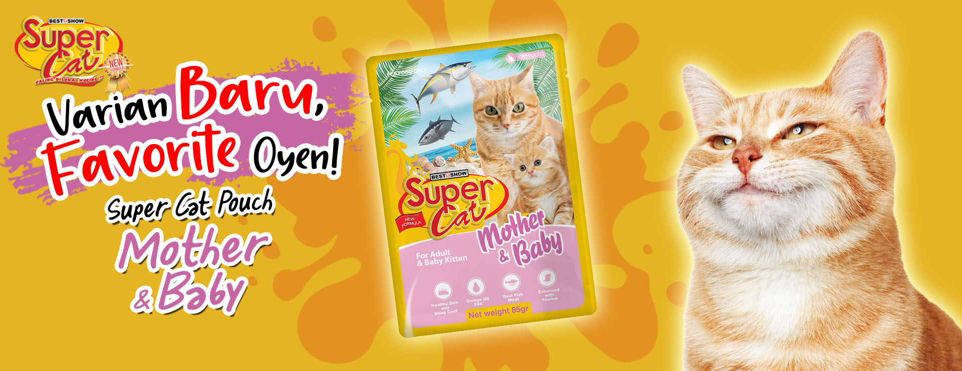 Banner - Cat - Best In Show - Best Pet Food For Your Pet